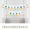 Big Dot of Happiness Colorful Baby Shower - Gender Neutral Baby Shower Bunting Banner - Party Decorations - Welcome Baby